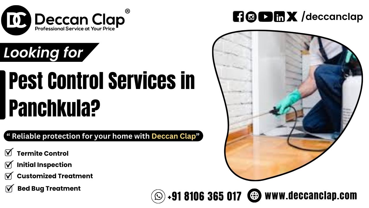 Pest Control Services in Panchkula