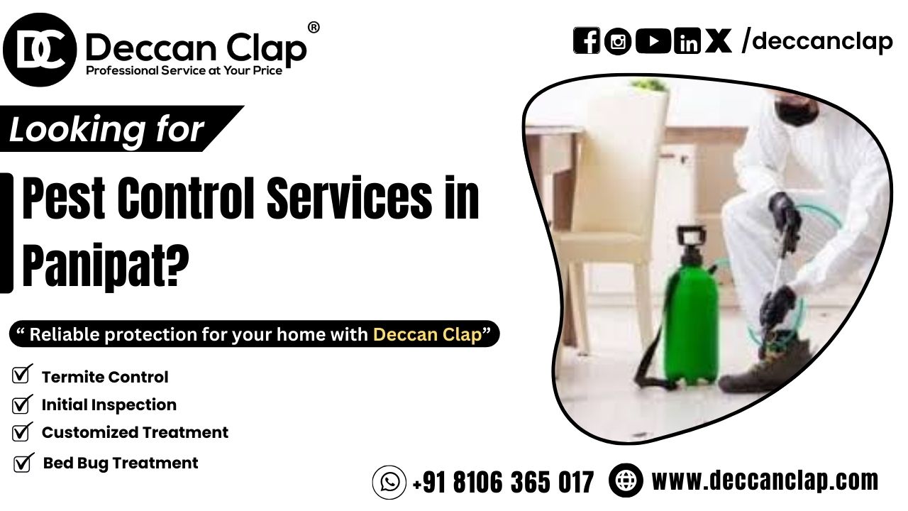 Pest Control Services in Panipat