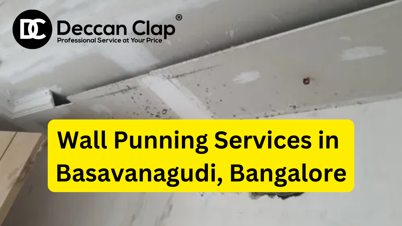 Wall punning services in Basavanagudi Bangalore