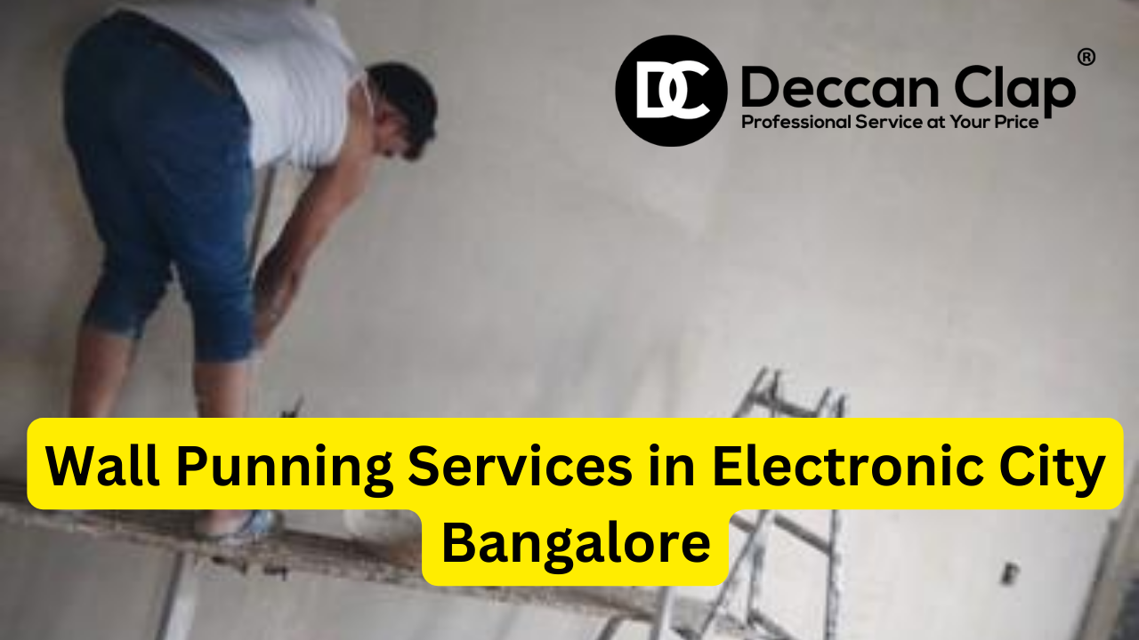 Wall punning services in Electronic City Bangalore