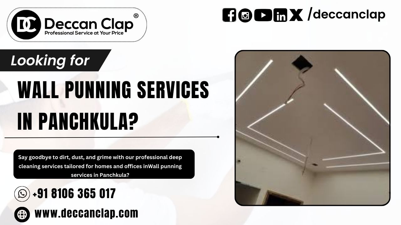 Wall punning services in Panchkula