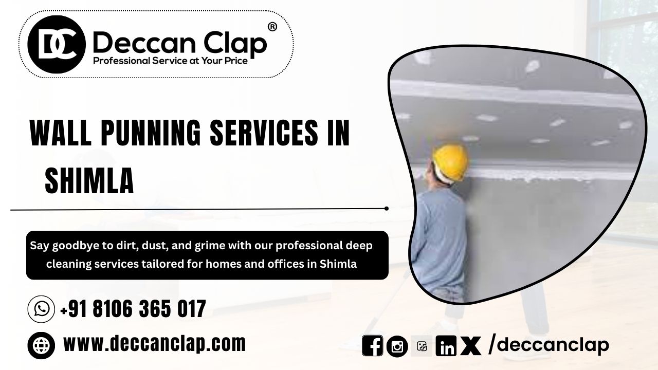 Wall punning services in Shimla