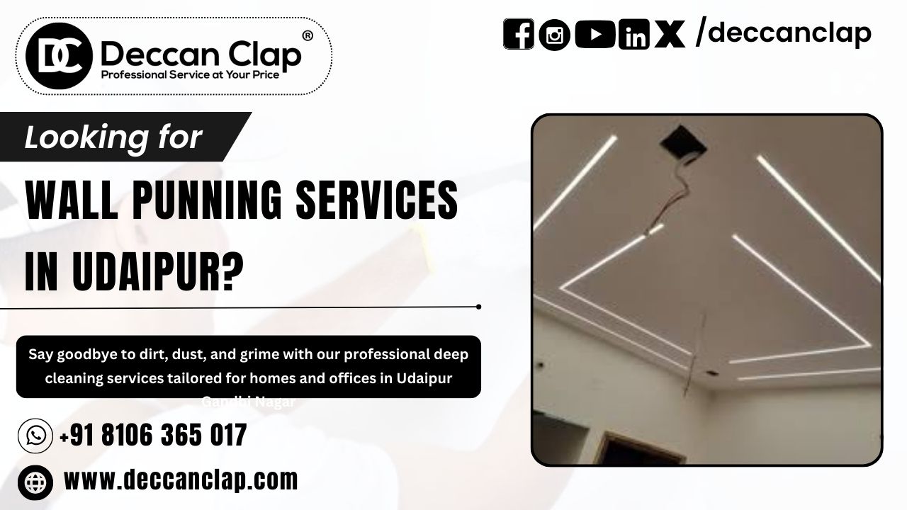 Wall Punning Services in Udaipur